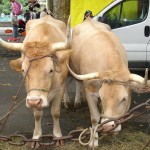 Autrefois le Couserans