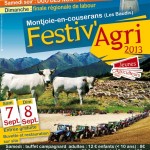 affiche-festivAgri2013